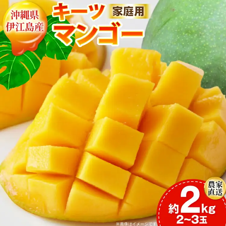 【期間限定発送】 家庭用 キーツ マンゴー 約 2kg (2～3玉) [伊江村マンゴー部会 沖縄県 伊江村 ie47bde320000]