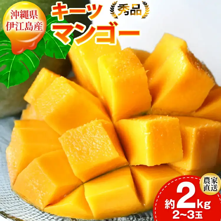 マンゴー 秀品 キーツ マンゴー 約 2kg (2〜3玉) 【期間限定発送】 [伊江村マンゴー部会 沖縄県 伊江村 ie47bde320009] 