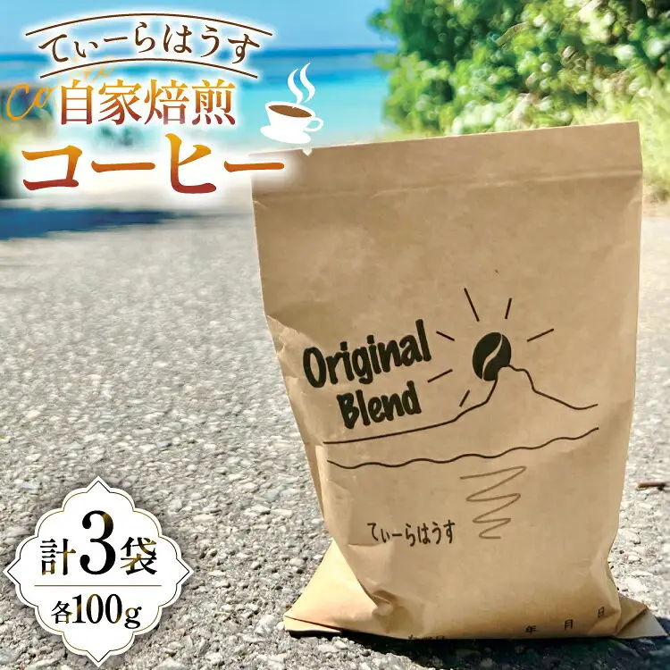 コーヒー 自家焙煎コーヒー 100g 3セット [てぃーらはうす 沖縄県 伊江村 ie47bde390000]