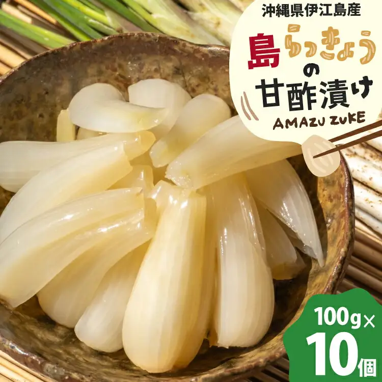 らっきょう 島らっきょうの甘酢漬け 100g 10個 [NOGUS 沖縄県 伊江村 ie47bde420001]