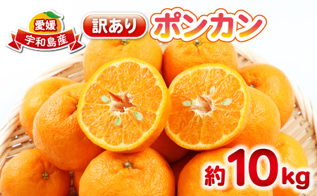 ポンカン 10kg 訳あり ぽんかん 杉本屋 先行予約 B017-143021