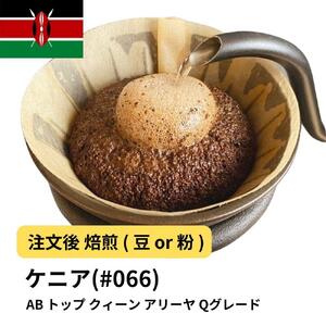 【豆】コーヒー #066 ケニア AB トップ クィーン アリーヤ Qグレード 310g 当日焙煎 大山珈琲