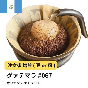 【豆】コーヒー #067 グアテマラ オリエンテ ナチュラル 310g 当日焙煎 大山珈琲