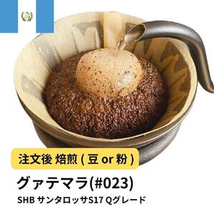 【粉】コーヒー #023 グァテマラSHB サンタロッサS17 310g 当日焙煎 大山珈琲