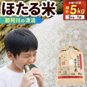  精米 5kg ほたる米【令和7年産】お米 米 ご飯 城里町 桂農産 ＼那珂川の清流ホタル米／ (AX009)
