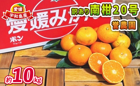 愛媛みかん 訳あり 南柑20号 10kg 誉農園 愛媛みかん B010-138011