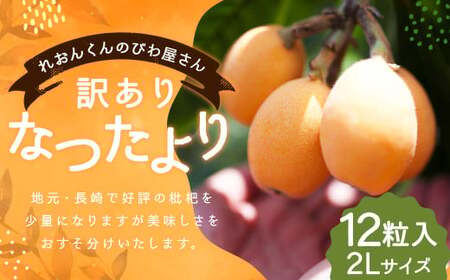 【訳あり】長崎産 茂木びわ「なつたより」2L（12粒入り）【2026年5月上旬～6月下旬迄発送予定】 ／ びわ 枇杷 果物 フルーツ 食品 九州 訳アリ わけあり 理由あり 長崎県 長崎市 常温