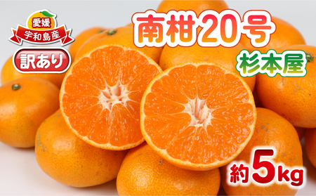 【愛媛みかん】訳あり 南柑20号 みかん 5kg 杉本屋 愛媛 B010-143015