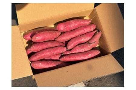 低温熟成 茨城県産 紅はるか さつまいも Lサイズ 5kg ねっとり 甘い 高糖度 大きい L サイズ べにはるか サツマイモ 焼き芋 最適 60日以上熟成 しっとり 食物繊維 ビタミン 健康 旨味 甘み 増す おやつ ギフト 贈答用 さつま芋 石岡市 (A22-001)