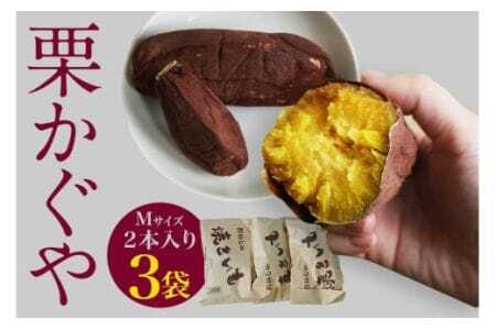 焼き芋（ 栗かぐや ）Mサイズ 2本入り 3袋 ( 計6本 ) 焼き芋 焼いも 焼芋 さつまいも サツマイモ さつま芋 芋 いも スイーツ お菓子 デザート 和菓子 おやつ 国産 しっとり 取り寄せ ギフト 贈答用 自宅用 茨城県 石岡市 (A29-001)