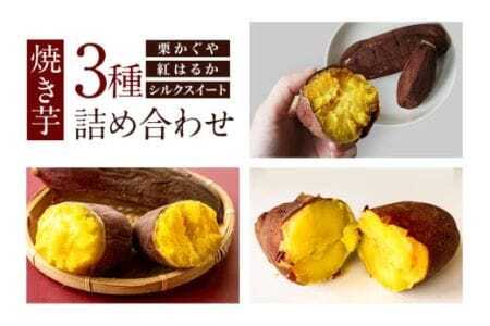焼き芋 3種詰め合わせ （ 栗かぐや 紅はるか シルクスイート ）Mサイズ 2本入り 3袋 ( 計6本 ) 焼き芋 焼いも 焼芋 さつまいも サツマイモ さつま芋 芋 いも スイーツ お菓子 デザート おやつ 国産 しっとり 取り寄せ 茨城県 石岡市 (A29-004)