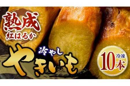 冷やし焼き芋 10本 1箱 べにはるか さつまいも 焼き芋 芋 焼いも 焼芋 サツマイモ スイーツ感覚 ねっとり 甘い 熟成 冷やし やきいも しっとり 美味しい アイスクリーム 相性抜群 ギフト 贈答用 健康おやつ 石岡市 (A35-003)