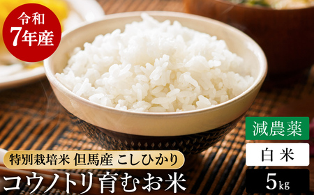 令和7年産 減農薬 白米 特別栽培米 5kg コウノトリ育むお米 但馬産 こしひかり 兵庫県産 (5kg×1袋)（94-004）減農薬 お米 5キロ 精米 白米 コウノトリ米 コシヒカリ コメ こめ ご飯 ライス 減農薬米
