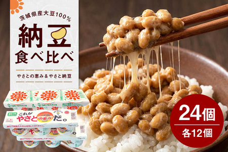 これがやさとの恵みだ&やさと納豆 24食 セット 八郷産 大豆 100％ 小粒 納豆 食べ比べセット 食べ比べ 納豆ごはん 納豆巻き 環境に優しい紙パック 茨城県 石岡市 (A36-001)