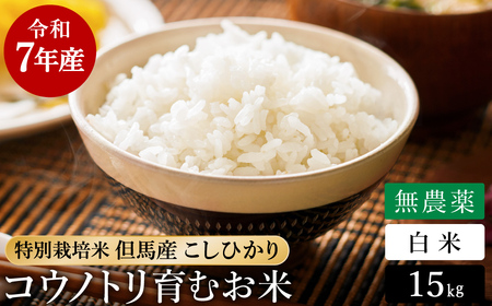 令和7年産 無農薬 白米 15kg コウノトリ育むお米 但馬産 こしひかり 兵庫県産(5kg×3袋)（94-002）無農薬 お米 15キロ 精米 白米 コウノトリ米 コシヒカリ 農薬不使用 特別栽培米 予約 コメ こめ ご飯 ライス 無農薬米