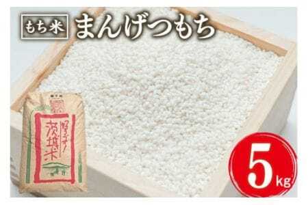 まんげつもち 精米 5kg 岡田ファーム もち米 マンゲツモチ お米 もち 米 モチ 5キロ 国産 餅 こめ コメ 茨城県産 茨城 産直 産地直送 農家直送 おこわ 団子 餅米 白もち米 精米もち米 餅つき 年末年始 満月もち 家庭用 贈答用 茨城県 石岡市 (B02-021)