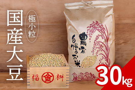 極小粒　大豆 30kg  岡田ファーム だいず ダイズ 国産 小粒 大容量 料理 煮豆 豆乳 納豆 用途多彩 健康食品 高たんぱく 保存食 産地直送 送料無料 (B02-026)