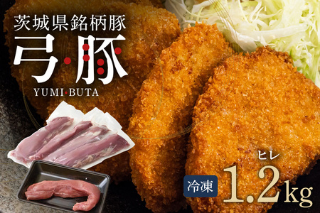 弓豚 ヒレ肉 セット 1.2kg 豚肉 和豚 銘柄豚 肉 ヒレ 国産 高品質 希少 産地直送 ヘルシー 家庭用 ギフト 冷凍 真空パック 【先行予約 2026年3月以降発送予定】 (C01-008)