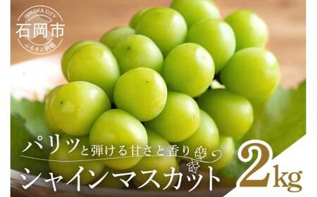 【 2026年 先行予約 】 シャインマスカット 2kg 石田ぶどう園 3房 ～ 6房 種なし ぶどう ブドウ 国産 果物 くだもの 大粒 葡萄 種無し フルーツ 2キロ 9月 10月 発送 秋 旬 品種 茨城県産 産地直送 産直 農家直送 冷蔵 茨城県 石岡市 (A02-015)