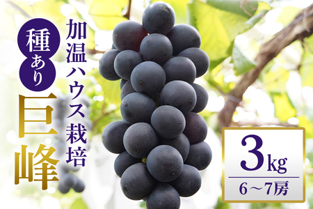 【 2026年 先行予約 】 「加温ハウス栽培」 巨峰 3kg（ 種あり ） 久家ぶどう園 2房 ぶどう ブドウ 有機 肥料 ハウス 栽培 国産 果物 くだもの 葡萄 フルーツ 3キロ 夏 旬 品種 茨城県産 産地直送 産直 農家直送 冷蔵 茨城県 石岡市 (A04-007)