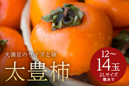 【 2026年 先行予約 】 太豊柿 2L 12～14玉 （鈴木柿園） 柿 甘い柿 糖度高い 太豊かき 大玉 カキ 甘い 果物 フルーツ くだもの かき 秋 旬 甘柿 贈答用 贈答品 ギフト 贈り物 品種 ブランド 発送 産地直送 農家直送 産直 茨城県 石岡市 (A08-007)