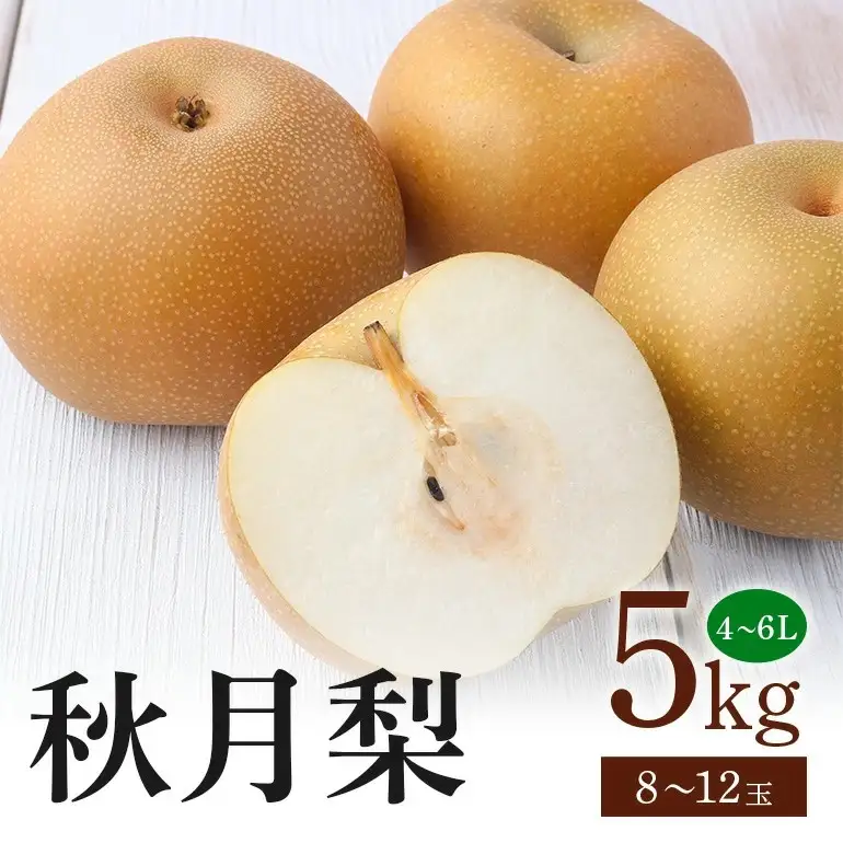 秋月梨 箱込約 5kg（JA新ひたち野）梨 約 8玉 ～12玉 (B01-002)