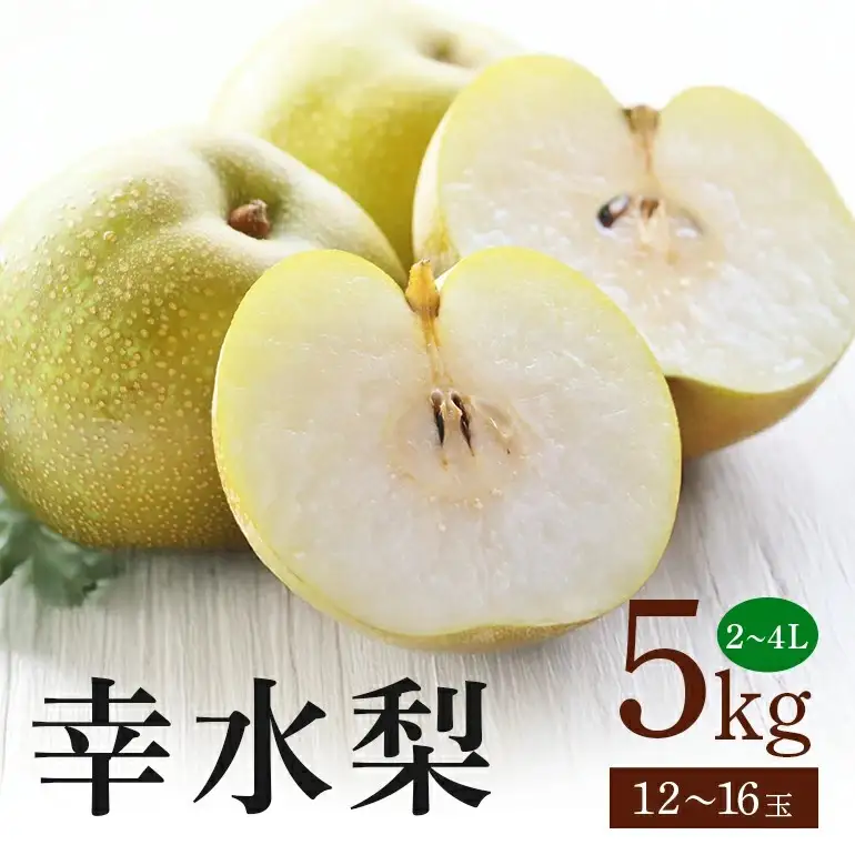 幸水梨 箱込約 5kg（JA新ひたち野）梨 約 12玉 ～ 16玉 (B01-009)