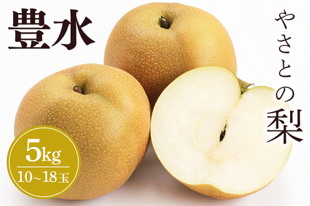 【 2026 年 先行予約 】 筑波山麓やさとの梨 ( 豊水 ) 5kg ( 10玉 ～ 18玉 ) 梨 なし ナシ 果物 フルーツ 品種 豊水梨 3L 2L L サイズ 5キロ 産地直送 農家直送 産直 国産 くだもの 甘い 酸味 ギフト 贈答用 家庭用 茨城県産 茨城県 石岡市 (A25-003)