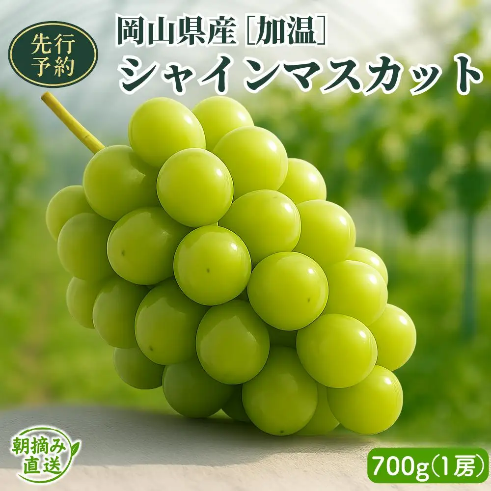【2026年先行予約】［加温］岡山県産シャインマスカット 700g（１房入）