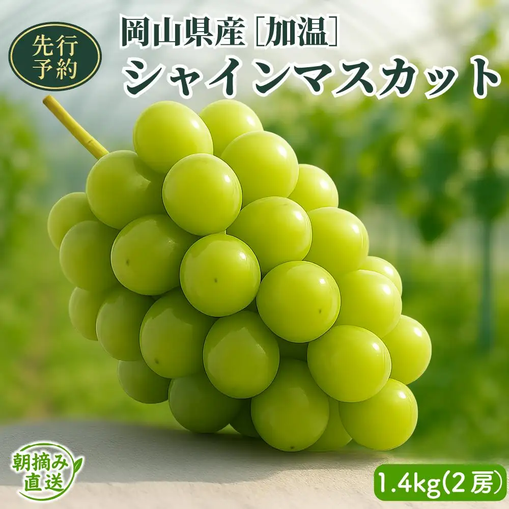 【2026年先行予約】［加温］岡山県産シャインマスカット 1.4kg（２房入）