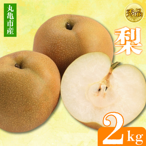 【2026年8月上旬より順次発送】【秀品】梨 約2kg  なし フルーツ
