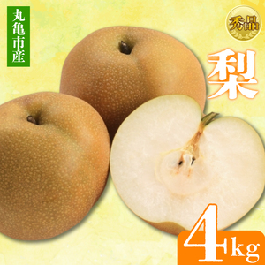 【2026年8月上旬より順次発送】【秀品】梨 約4kg なし 果物