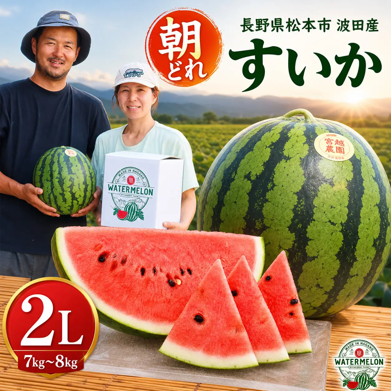 【先行受付】松本市 波田産 すいか 2L（7kg～8kg)