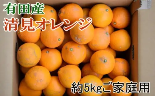 【濃厚】有田産清見オレンジ 5kg (サイズおまかせまたは混合) ご家庭用　※2027年3月上旬～3月下旬頃発送予定（お届け日指定不可） / みかん オレンジ 和歌山 有田みかん 柑橘 フルーツ 果物【tec011-c-5】