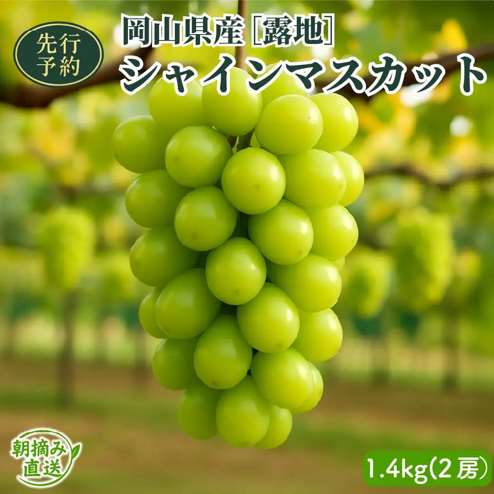 【2026年先行予約】［露地］岡山県産シャインマスカット 1.4kg（２房入）