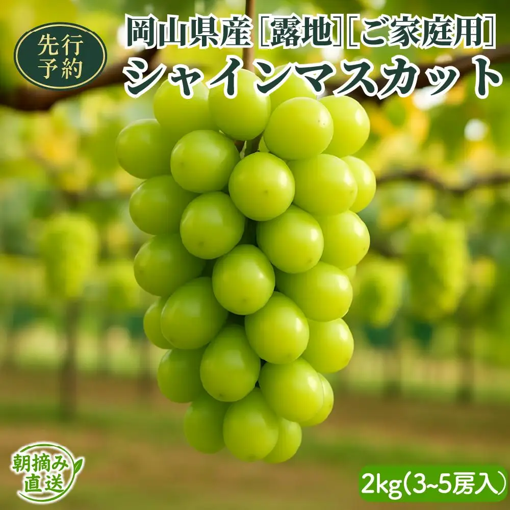 【2026年先行予約】［露地］岡山県産シャインマスカット 2kg （３～５房入）ご家庭用