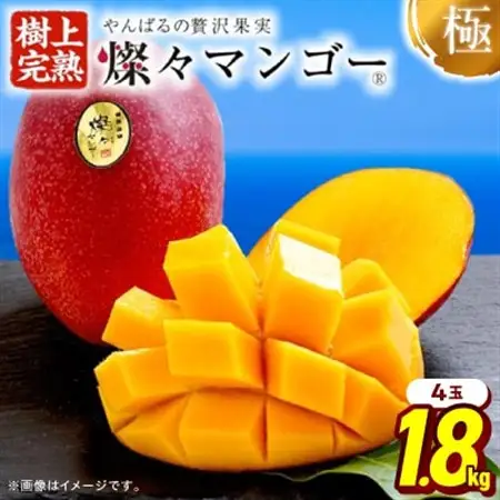 【2026年7月から順次発送・最高級ランク極】燦々マンゴー1.8kg(4玉)_マンゴー_【1622441】