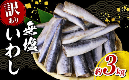 いわし ドレス 約3kg 無塩 【 訳あり 】