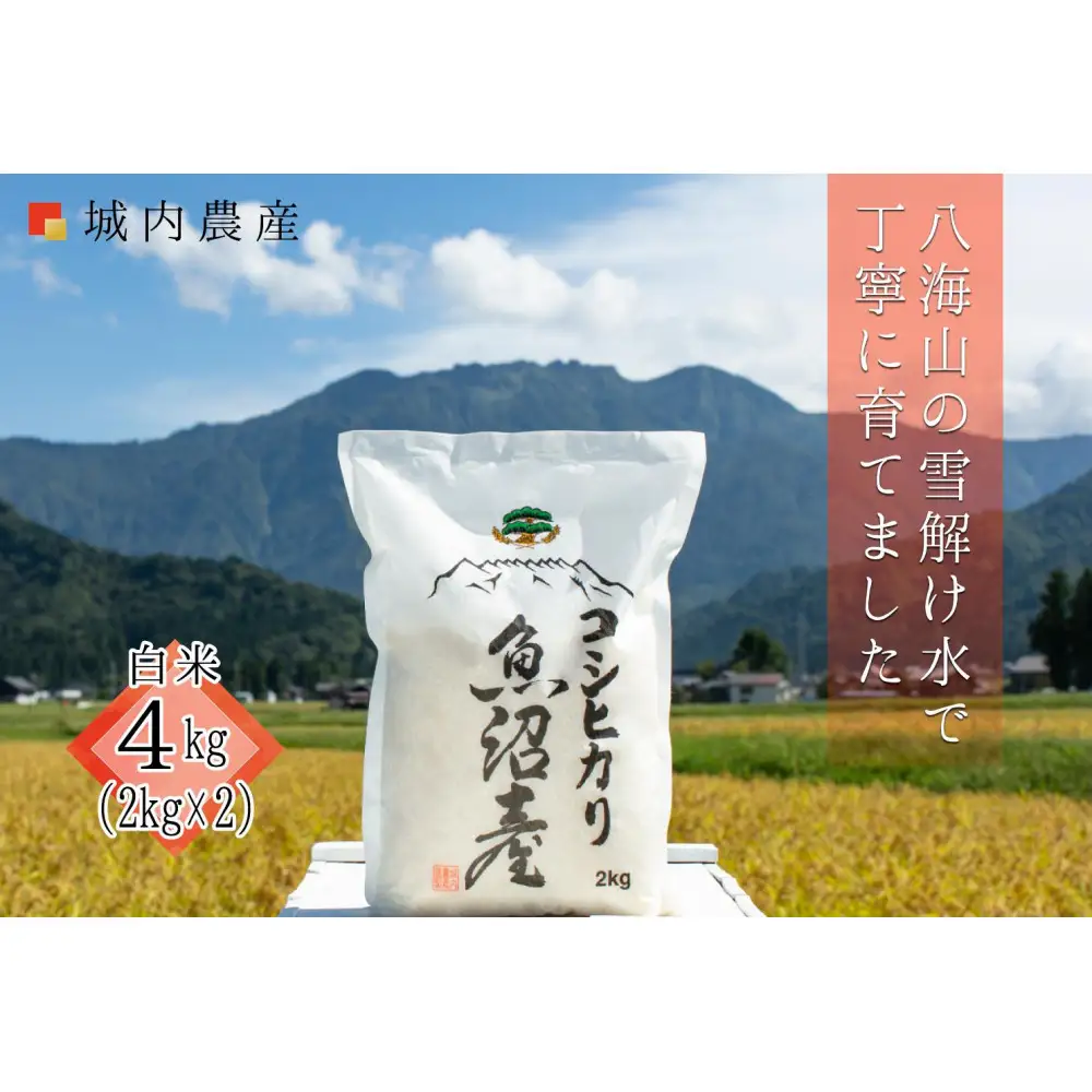 【令和７年産】南魚沼産コシヒカリ　白米４kg（２ｋｇ×２）【５割減農薬栽培米】城内農産【銘柄米 ブランド米 精米 こしひかり コシヒカリ 魚沼産 新潟米 産地直送 お米 米 こめ コメ ご飯 御飯 ごはん】