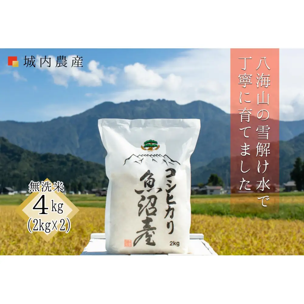 【令和７年産】南魚沼産コシヒカリ 無洗米４kg（２ｋｇ×２）【５割減農薬栽培米】城内農産【銘柄米 ブランド米 無洗米 こしひかり コシヒカリ 魚沼産 新潟米 産地直送 お米 米 こめ コメ ご飯 御飯 ごはん】
