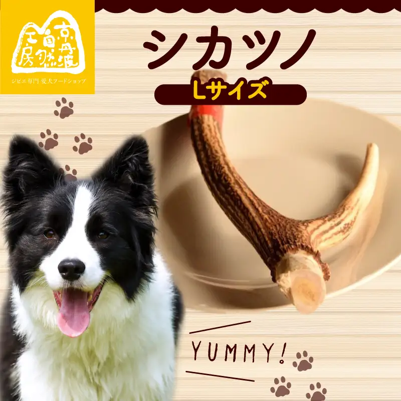 シカツノ Lサイズ 鹿の角(犬 歯磨き ペット用品 おもちゃ