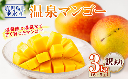C3-22143／【訳あり品】鹿児島産 温泉マンゴー 3kg 期間限定 【2026年夏発送】