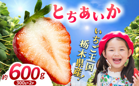 【先行予約】【期間限定】那珂川町産とちあいか 2月発送分 300g×2 |いちご とちあいか ジューシー フルーティー 大きい 新鮮 甘い 美味しい 果物 共通返礼品 フルーツ デザート 栃木県 那珂川町 送料無料