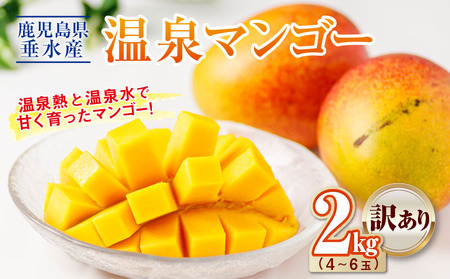 B2-22137／【訳あり品】鹿児島産 温泉マンゴー 2kg 期間限定 【2026年夏発送】