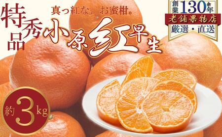 特秀品！真っ赤なお蜜柑「小原紅早生」　約3kg