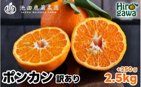  家庭用 ポンカン 2.5kg+250g（痛み補償分） 光センサー 食頃出荷 / 訳あり 有田 みかん 柑橘 蜜柑 くだもの 果物 果実 フルーツ 和歌山 ※1月中旬～2月下旬頃に順次発送予定 ※北海道・沖縄・離島への配送不可 【ikd008-c-2d5】