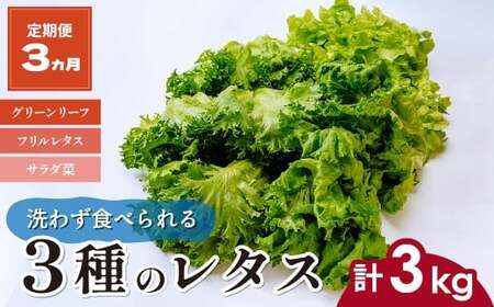 3種のレタス 各500g×2パック 1kg 定期便 | レタス