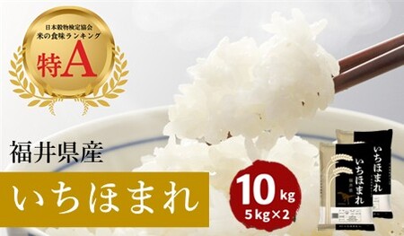 福井県産いちほまれ 米 10kg [D-187001] / いちほまれ