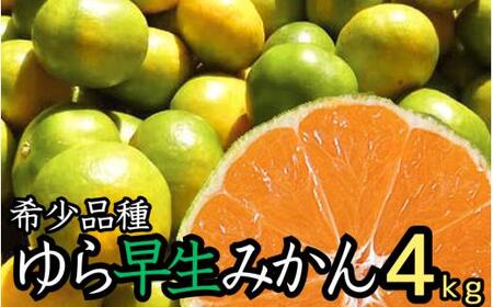 【先行予約】由良早生 みかん 家庭用 4kg / ゆら早生 温州みかん 極早生 甘い 家庭用 和歌山 柑橘 ※2026年10月上旬～11月上旬順次発送 ※北海道・沖縄・離島への配送不可 【nuk003-yura-4A】