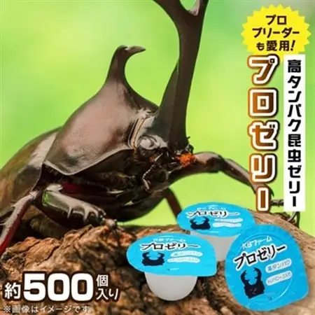プロゼリー　約500個入り　_昆虫ゼリー 高タンパク 昆虫 飼育_【1201217】